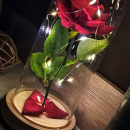 Svjetleća ruža u staklenoj vazi
