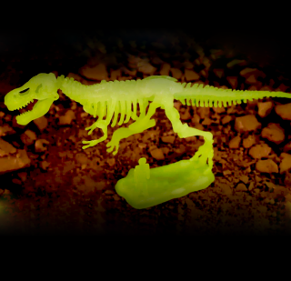 Set za male arheologe – Tyranosaurus Rex