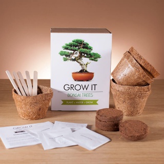 Grow it! - Bonsai