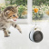 Interaktivna igračka s loptom za mačke