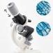 Dječji mikroskop