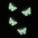 Svjetleći leptiri