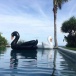 Madrac na napuhavanje Crni labud