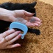 Četka za masažu i češljanje mačaka